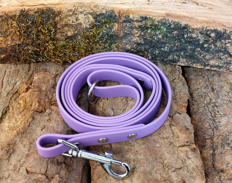 Waterproof Biothane Clip Lead