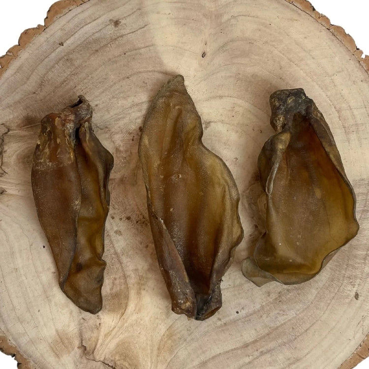 Large Buffalo Ears with extra meat
