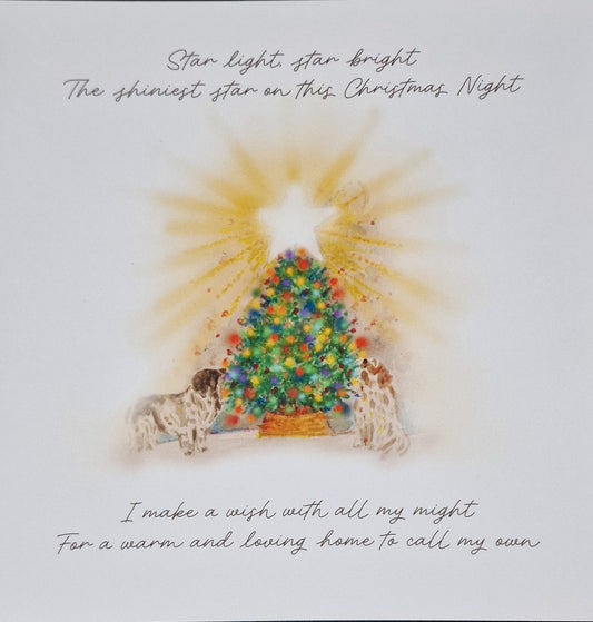 Charity Christmas cards supporting dog rescue