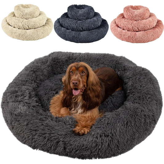 Bunty seventh heaven bed selections