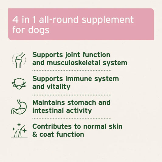 4-in-1 all-round supplement for dogs with listed benefits on a light green background.