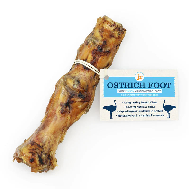 Premium Large Ostrich Foot 15-20cm long