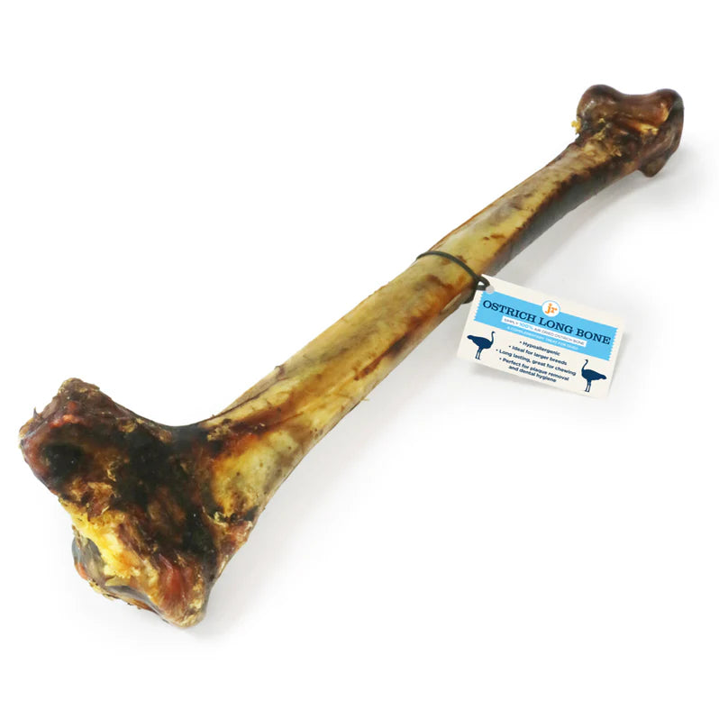 Long Ostrich Bone 50cm for dogs