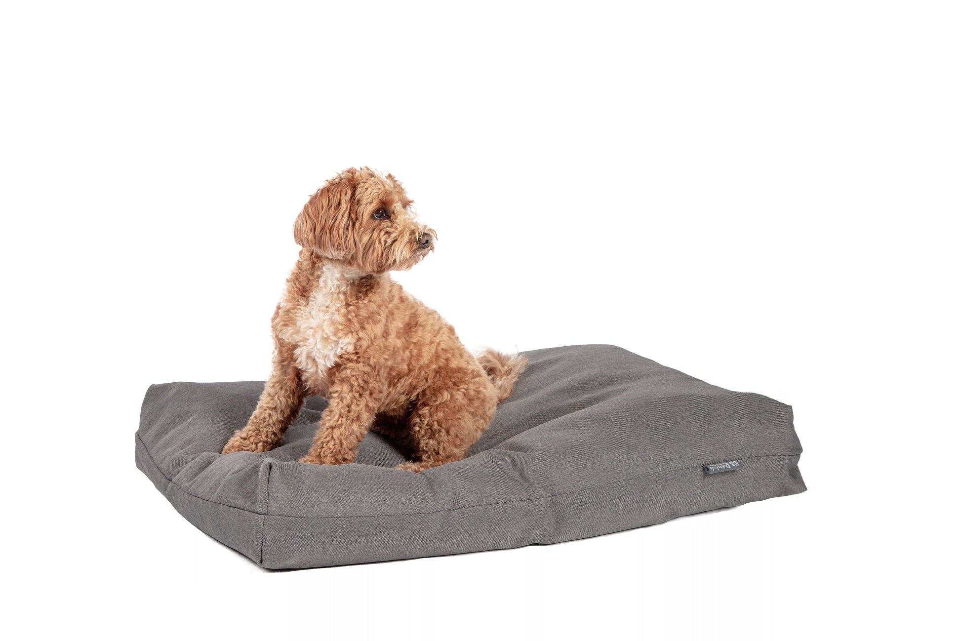 Antibacterial deep duvet grey