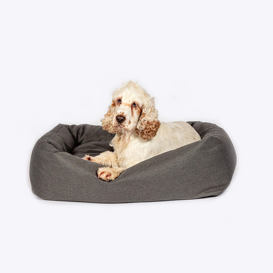 y settee Anti bacterial dog bed