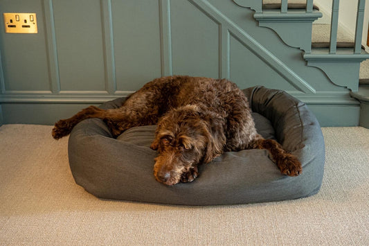 eco friendly hygienic settee dog bed Green