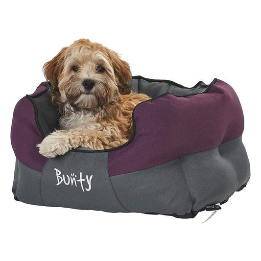 Bunty anchor bed purple small