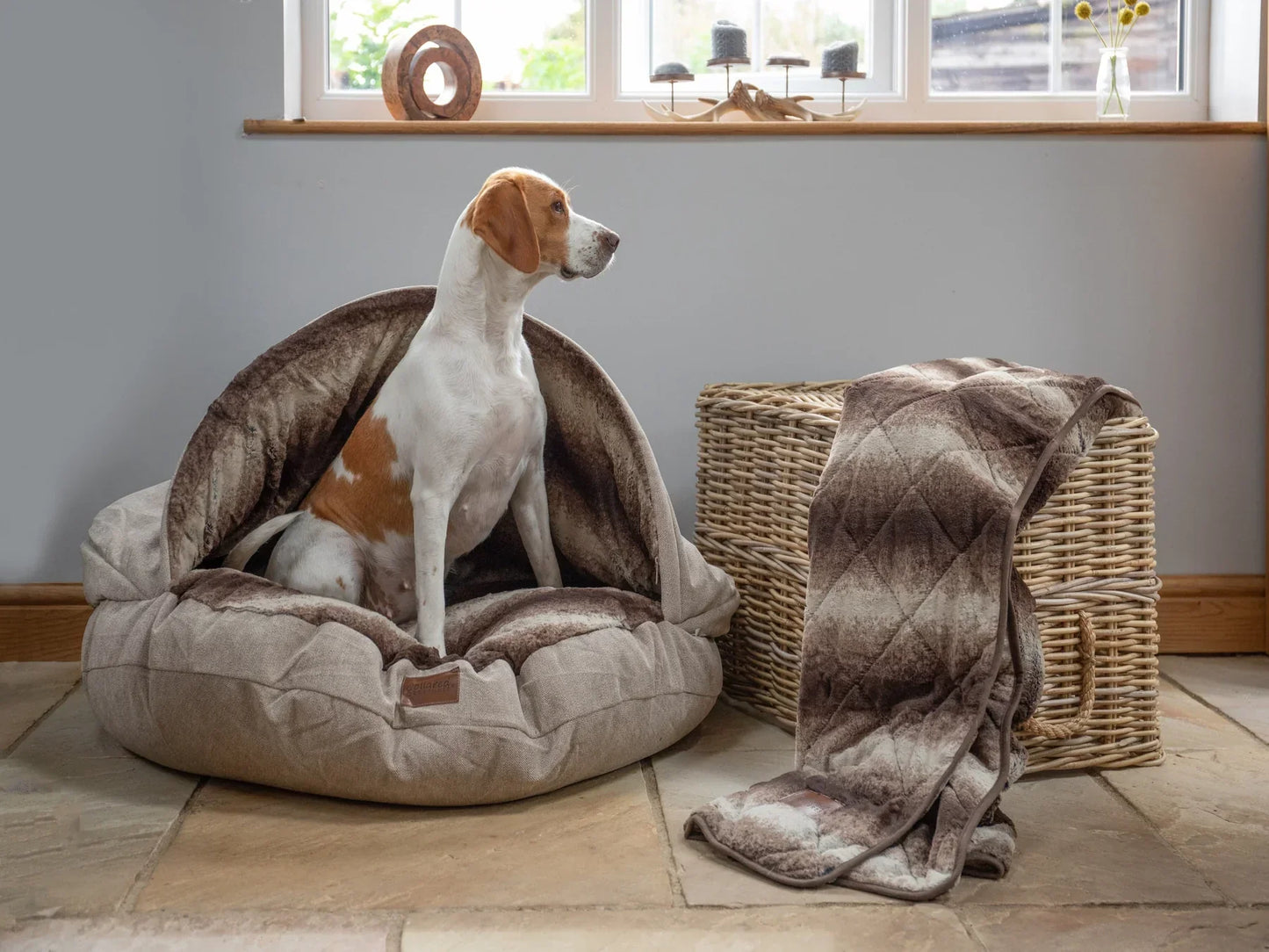 Collared Creatures Dog Cave Bed with removable hood beige size large
