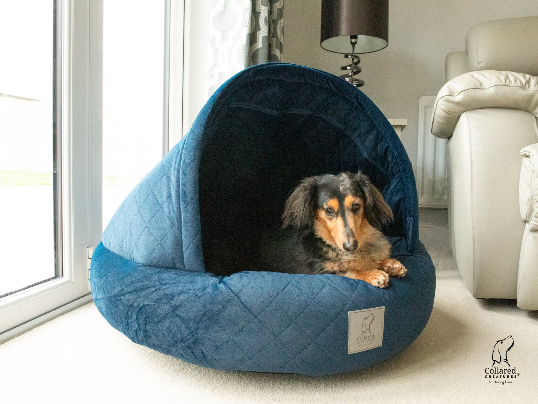Cat cave blue