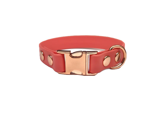 Coral Toy breed Waterproof Dog Collar