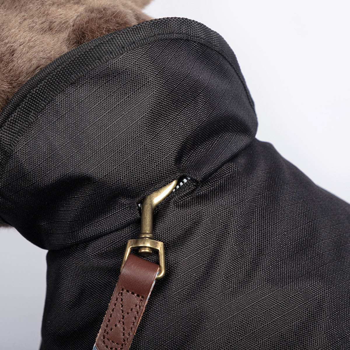 2 in 1 black dog coat