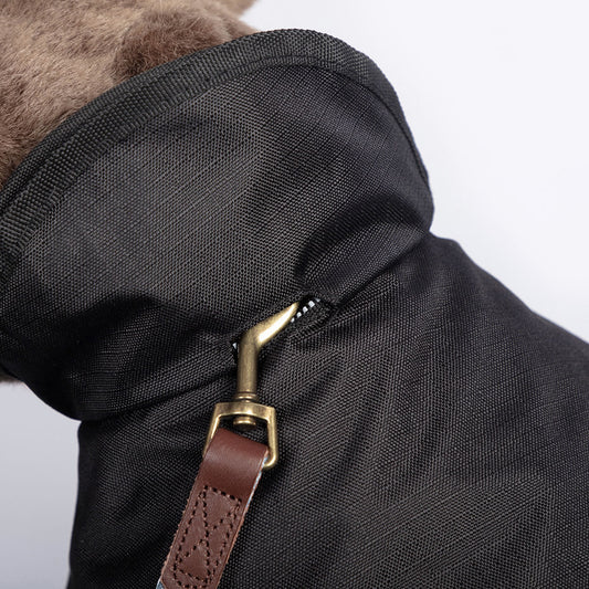 2 in 1 black dog coat