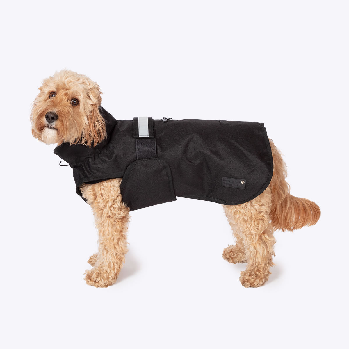 3 in 1 dog coat