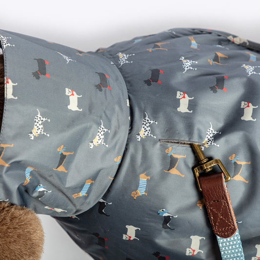 Marching dogs rain coat