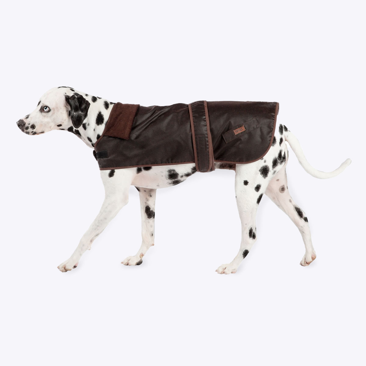 Fat face waxed dog jacket