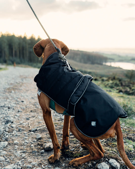 Harness Dog Coat black