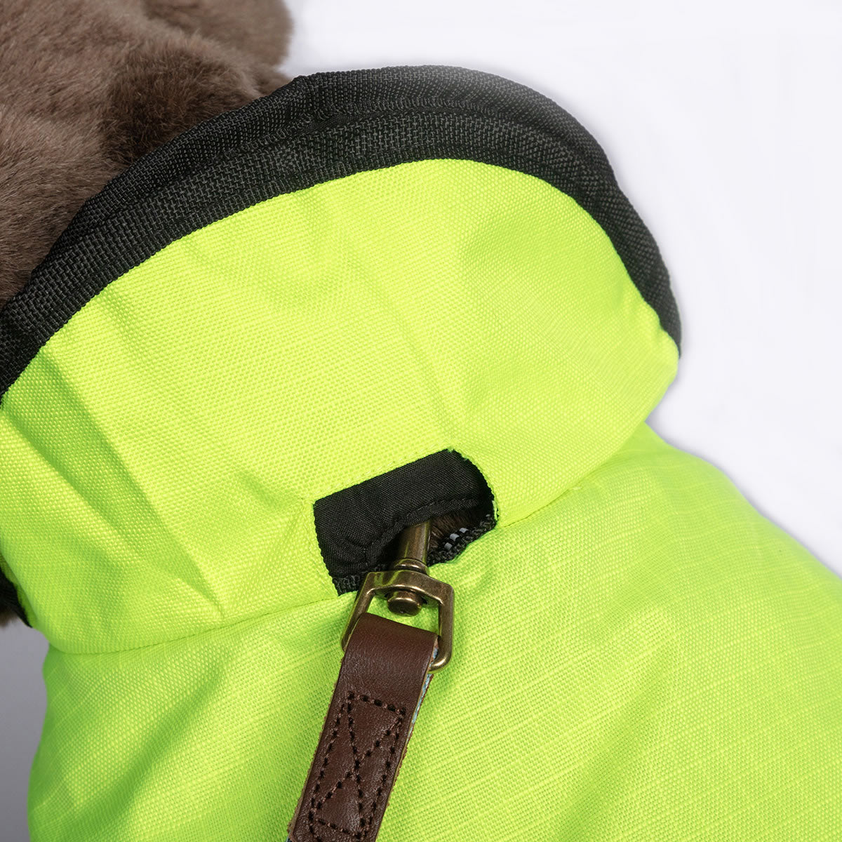 Hi vis 2 in 1 dog coat