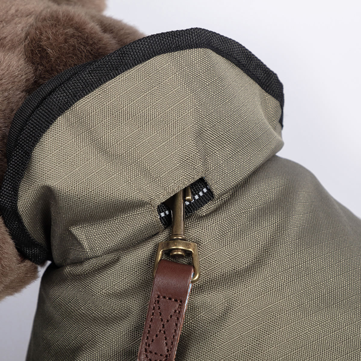 2 in 1 dog harness coat