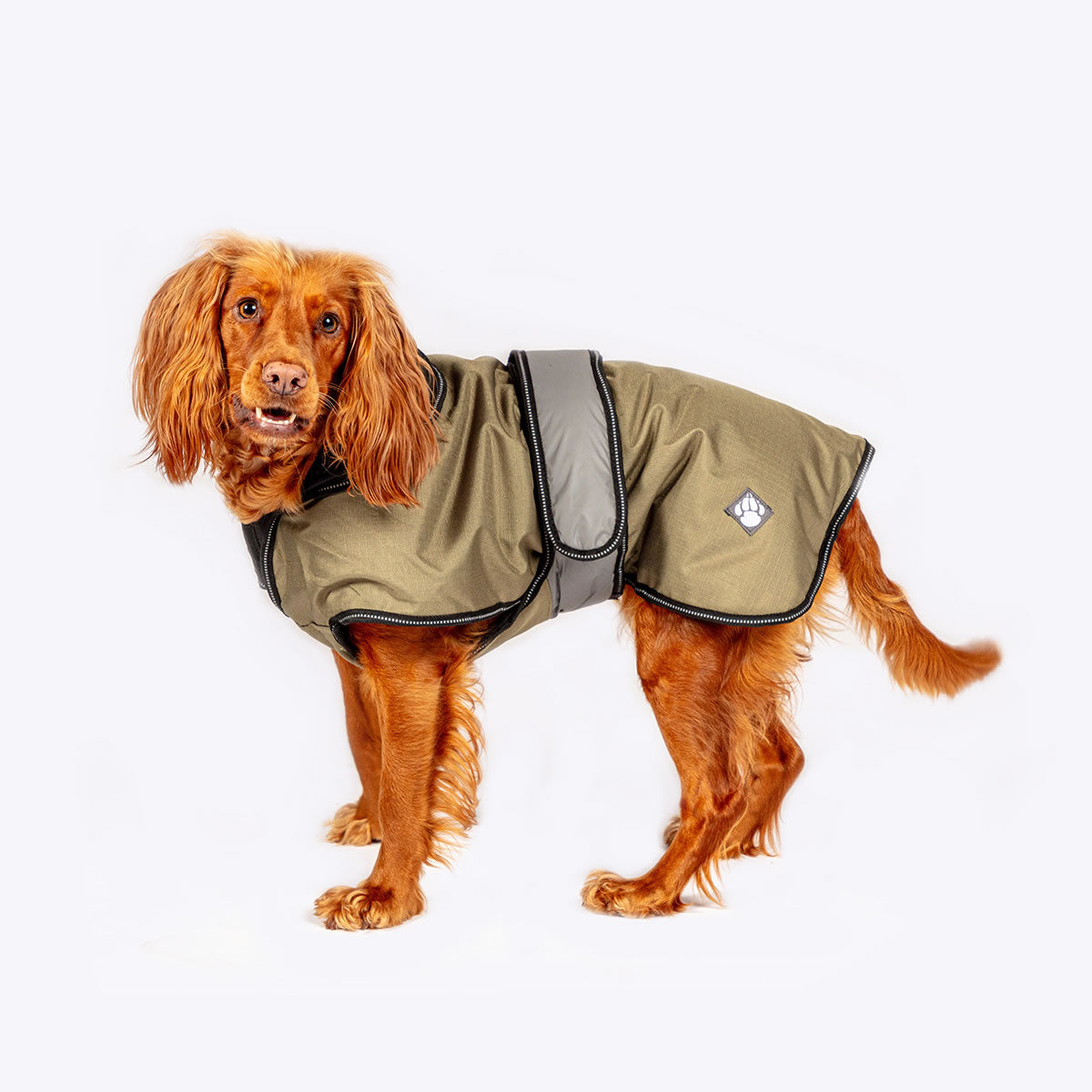 Khaki 2 in 1 dog coat