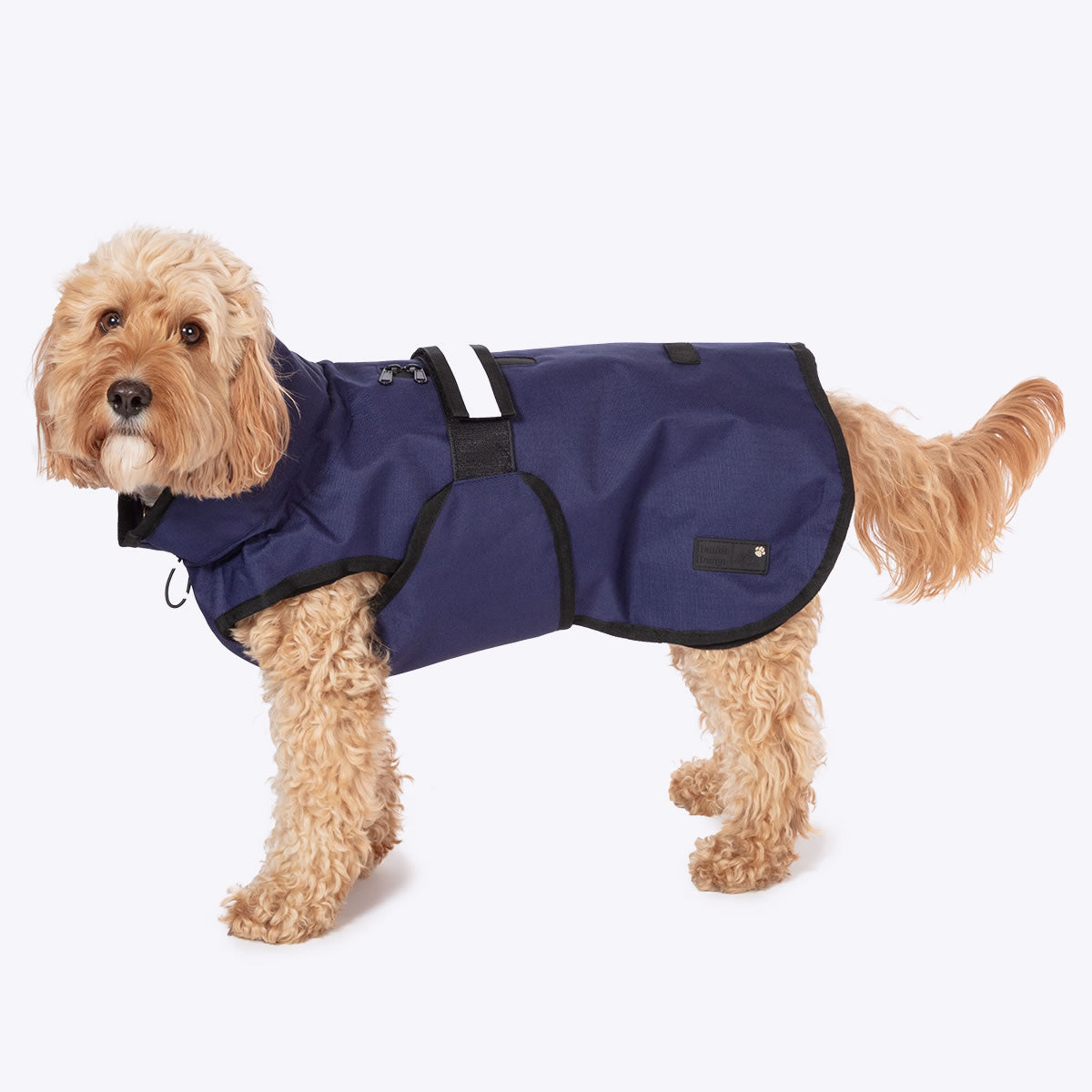 3 in 1 dog coat Navy