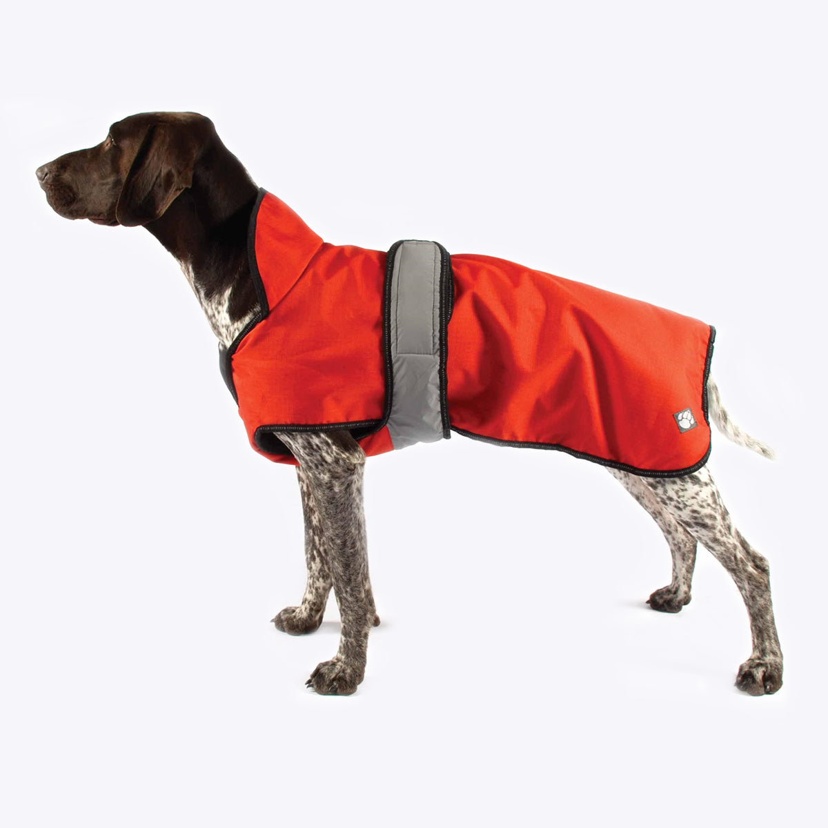 2 in 1 dog coat ornage