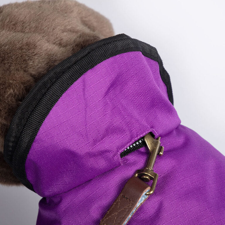 Insulated dog coat purple