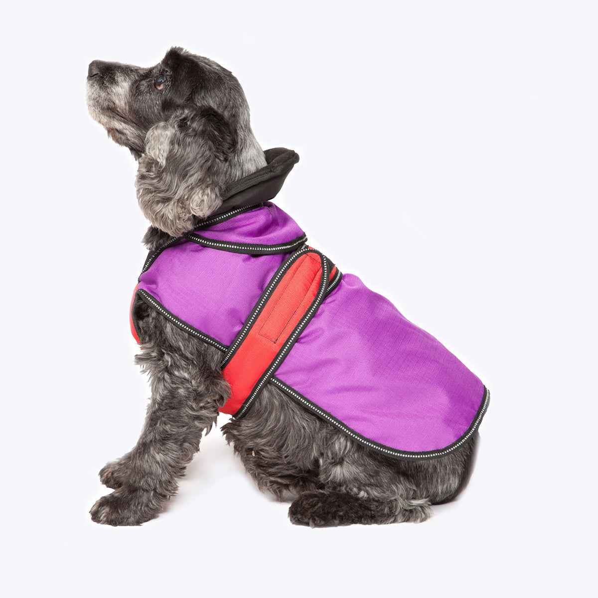 2 in 1 dog coat purple