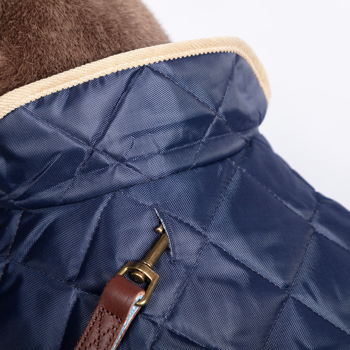 Quilted navy dog coat