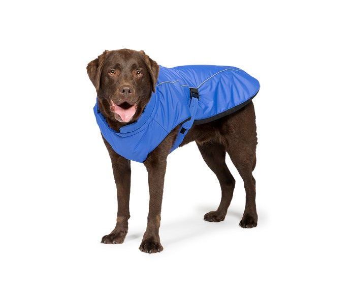 Sports dog coat blue