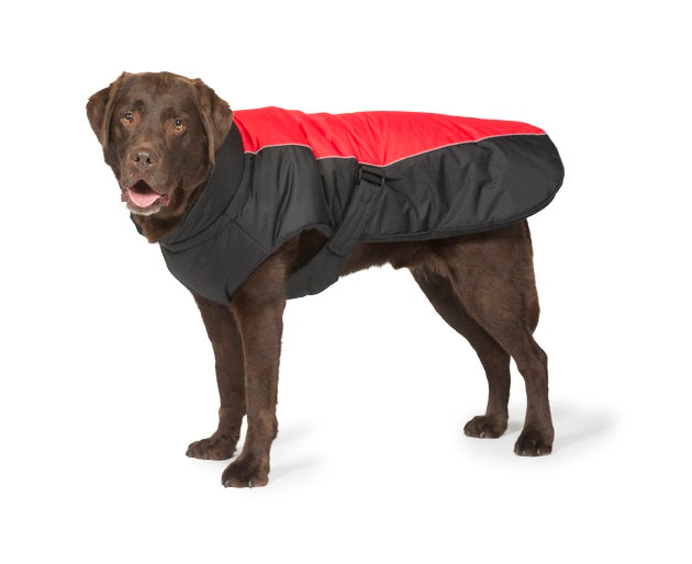 Active dog coat