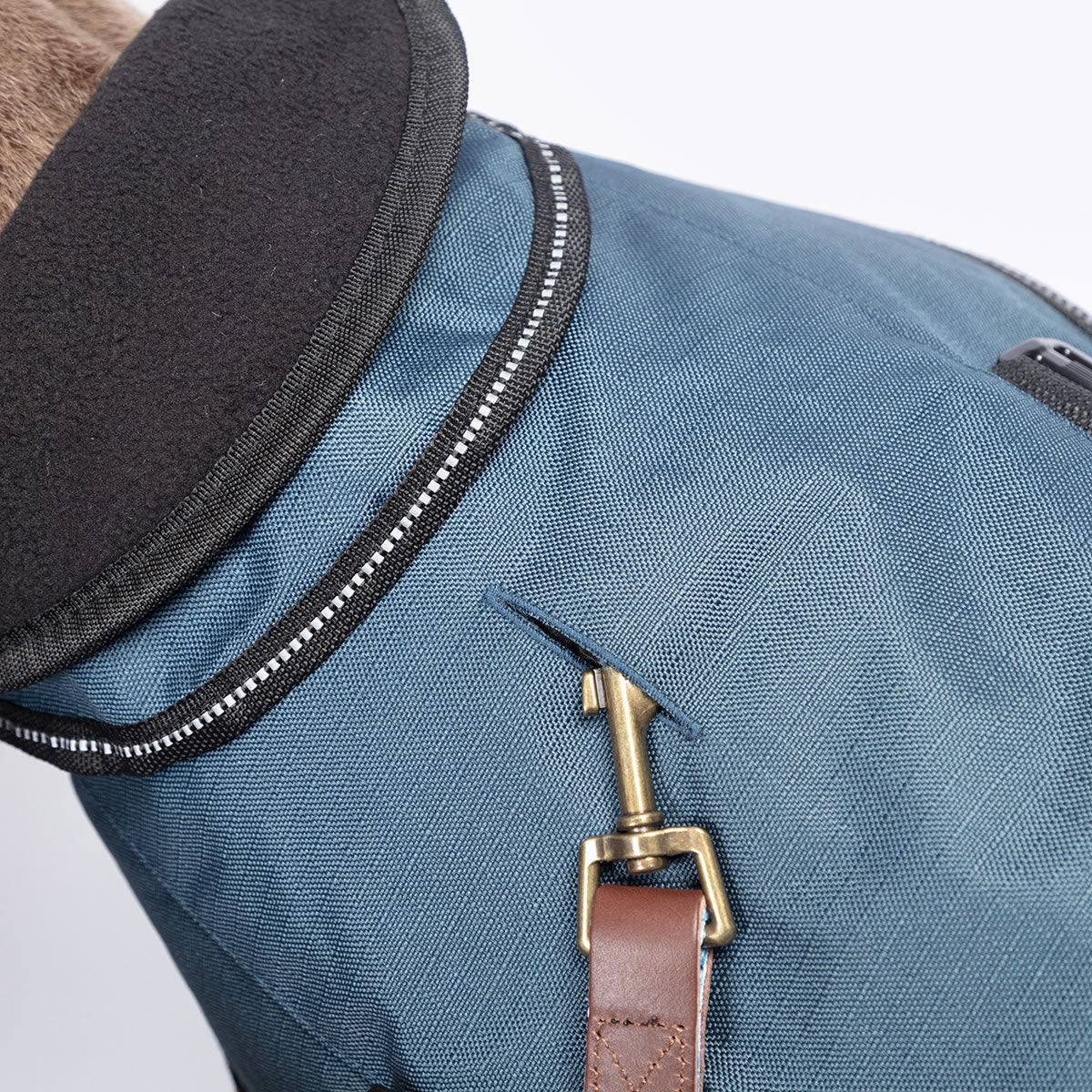Harness dog coat