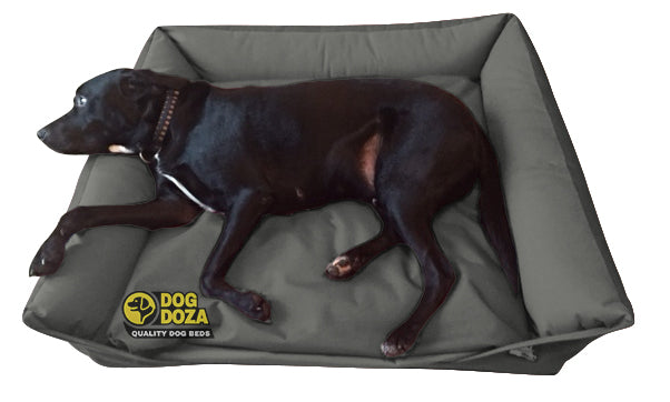 Luxury dog Sofa bed waterproof