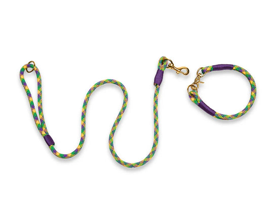 Donatello rope collar and lead