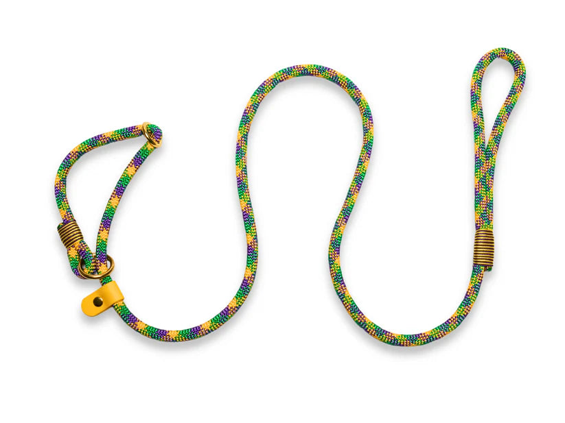 Donatello rope slip lead