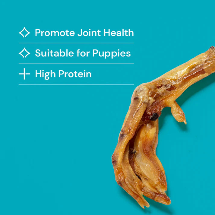 Duck feet for Dogs