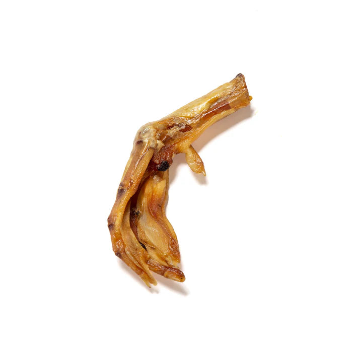 Maisey Daisey Duck Feet dog treats 100% natural, grain-free benefits.