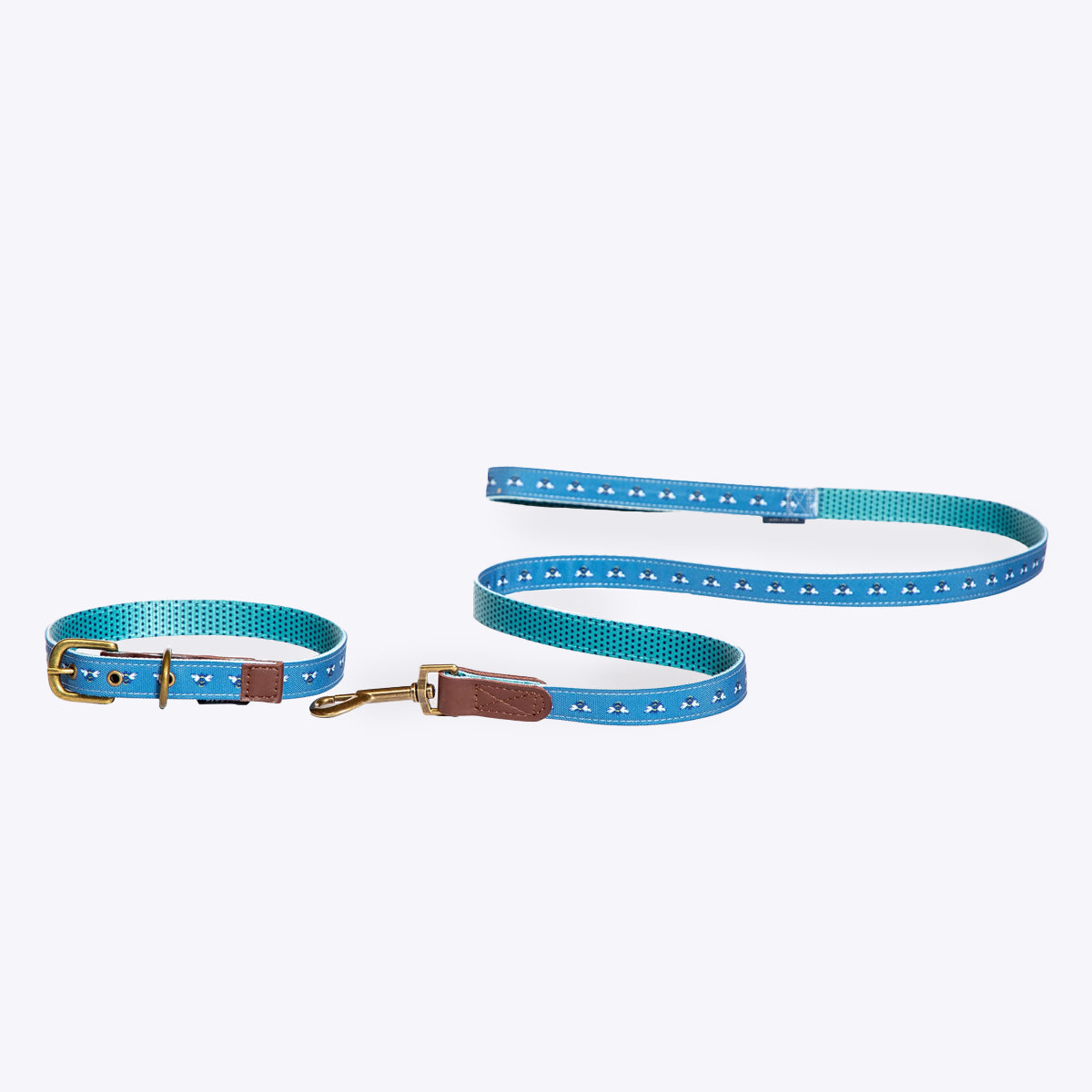Fatface Spotty Bees dog collar and lead