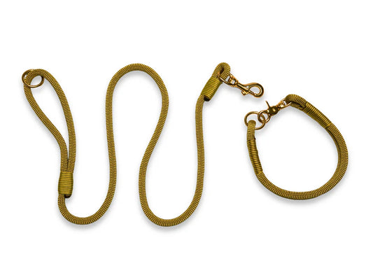 Golden treasure rope collar and lead