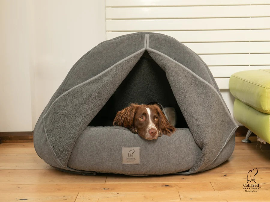 Cocoon dog bed best sale