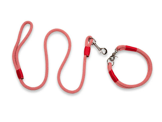 Candy cane rope collar and lead
