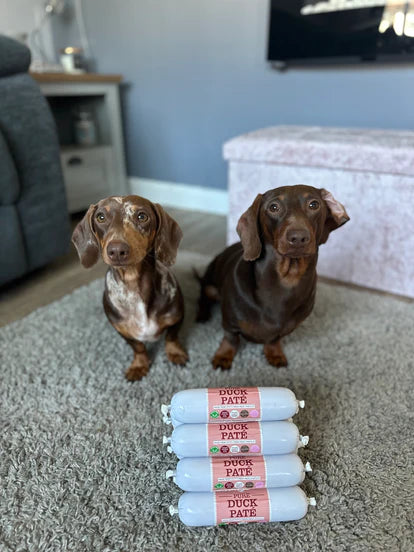 100% Duck Dog Pate