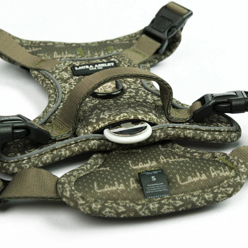 Laura Ashley sweet alyssum dog harness close up