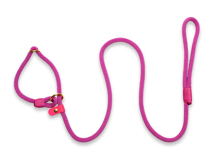 Passion Pink rope slip lead