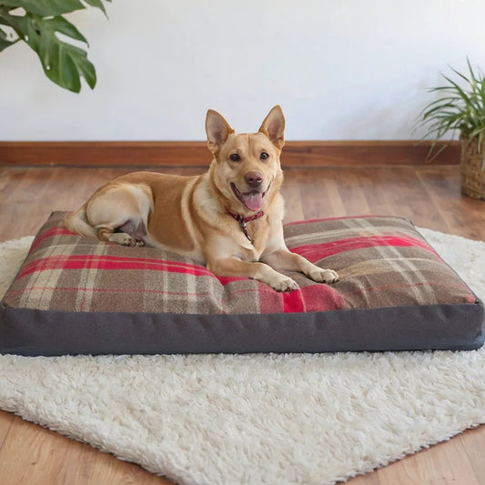Check Deep Orthopaedic Dog Mattress