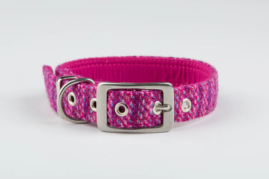 Harris Tweed silver buckle dog Collar Pink Koana