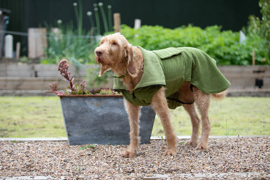 Collared Creatures Practical drying coat green