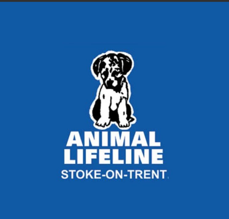 Help a Rescue Dog Today 🐾