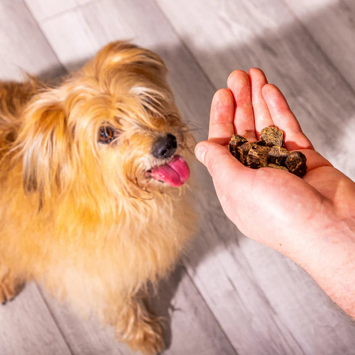 Dogs love gourmet training treats