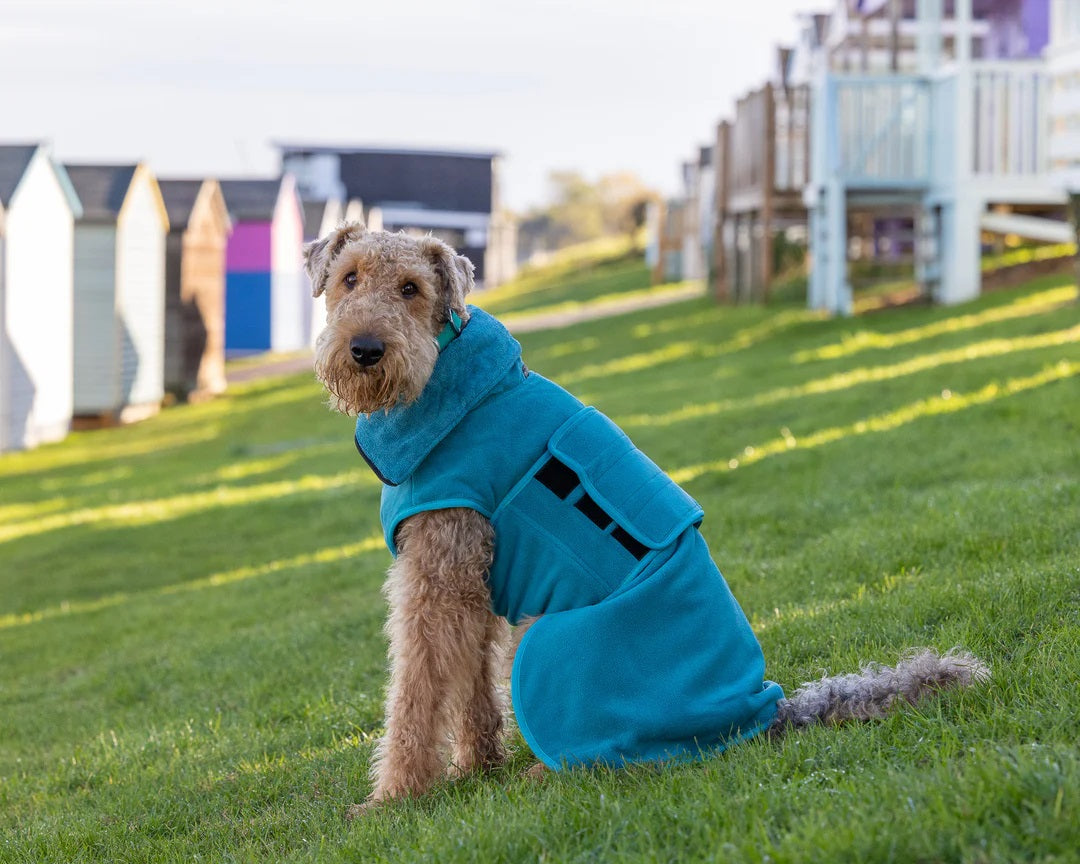 Dog drying coat