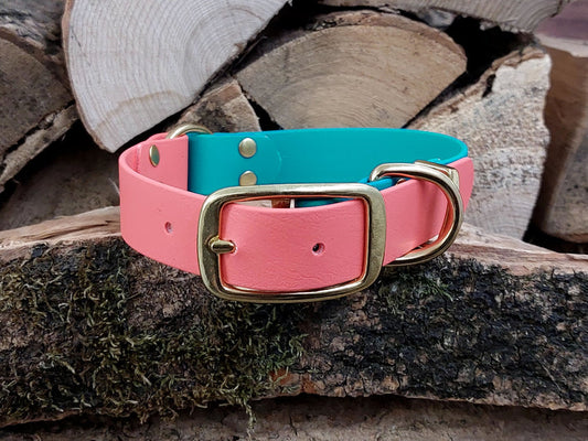 waterproof Dog Collar UK made Multi Coloured Teal & Coral